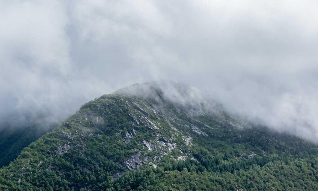 bvostfus python issue fix