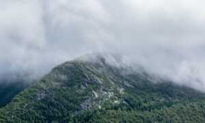 bvostfus python issue fix