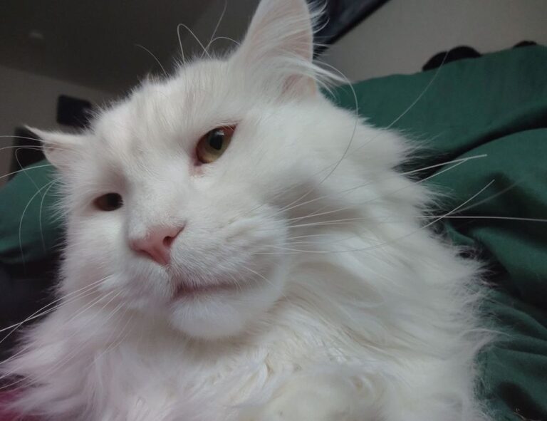 gdtj45 builder software