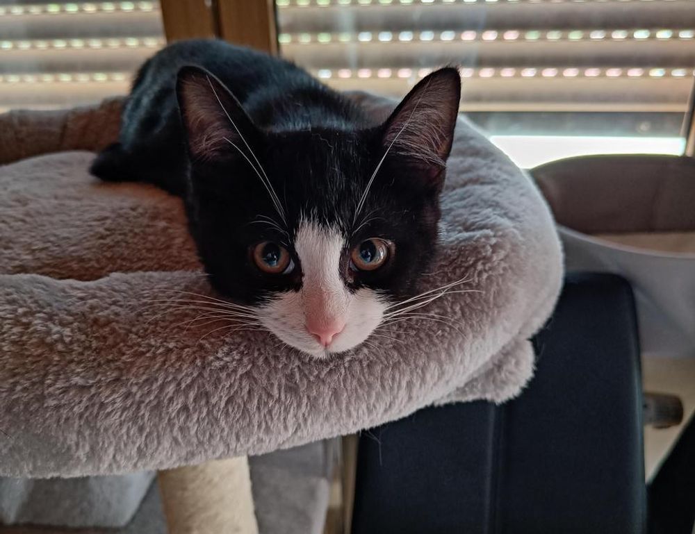 healthy brunch ideas fhthfoodcult