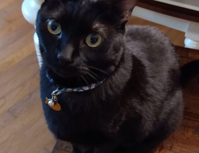 how to testing zillexit software