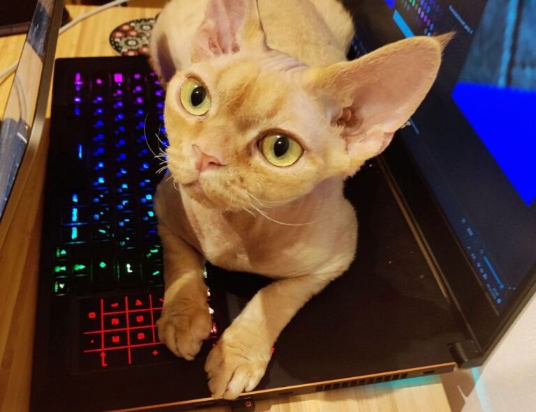 lescohid herbicide to kill grass