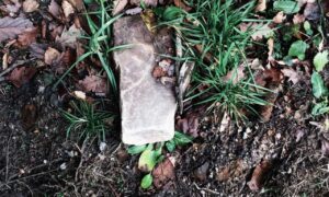 should i use moxhit4.6.1 software to write a book