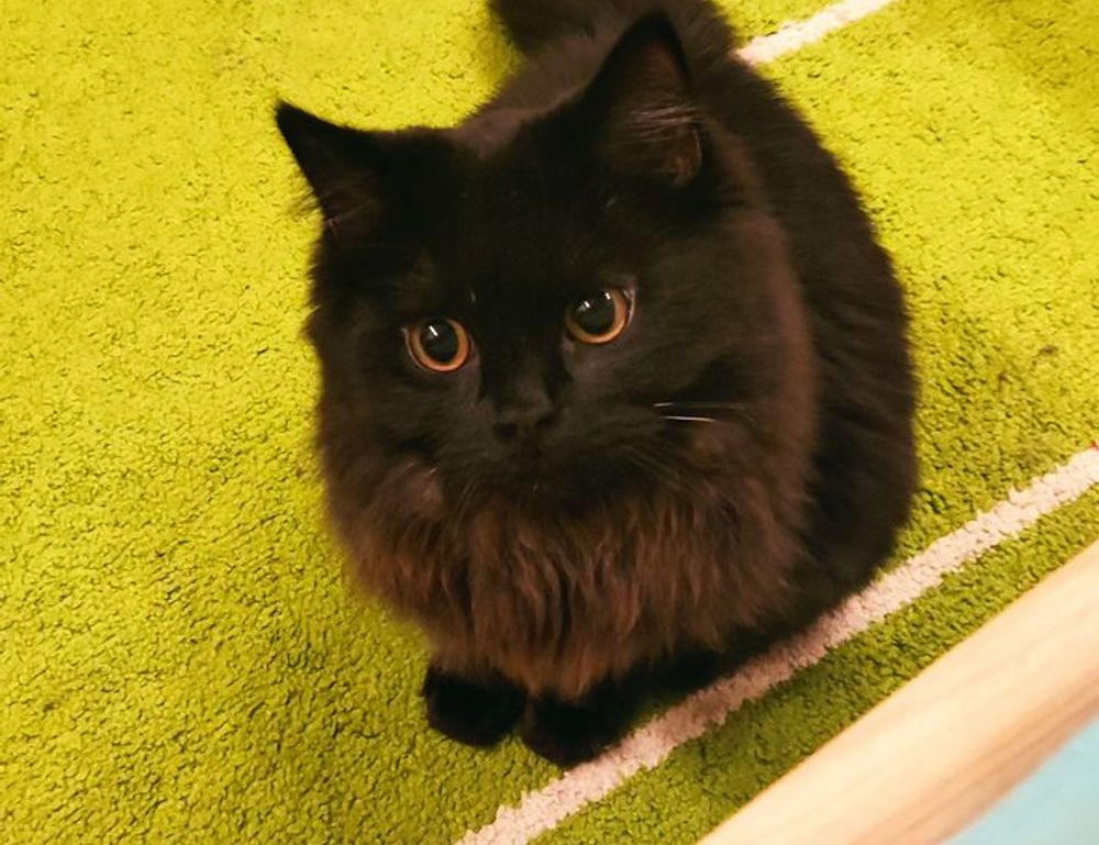 valan slap845 old version