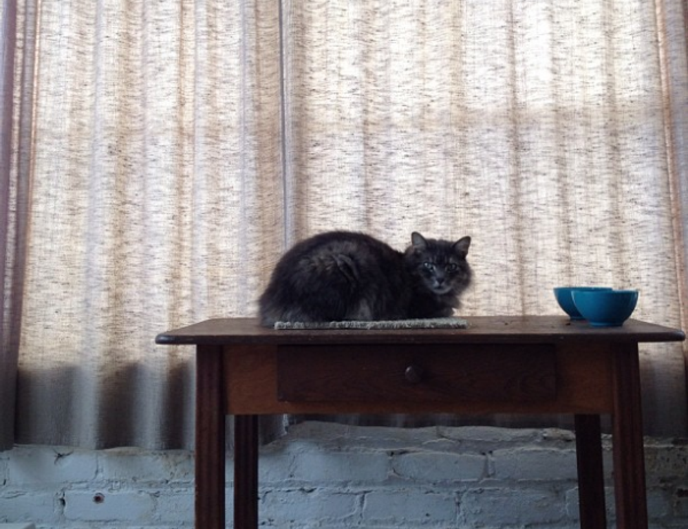 easy recipes llblogfood