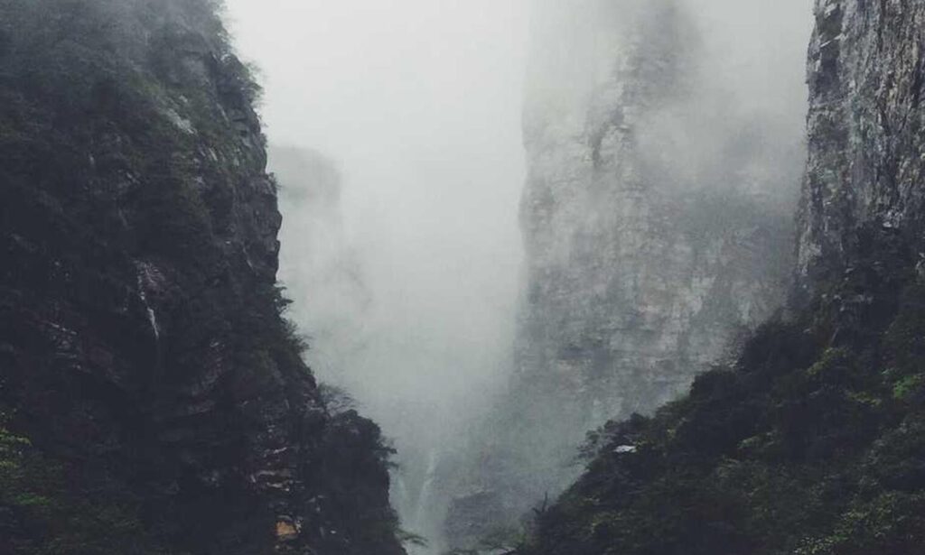 how many days can felmusgano be stored