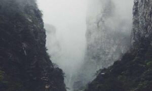 how many days can felmusgano be stored