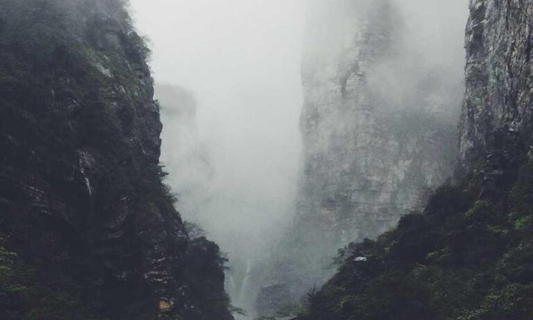 how many days can felmusgano be stored