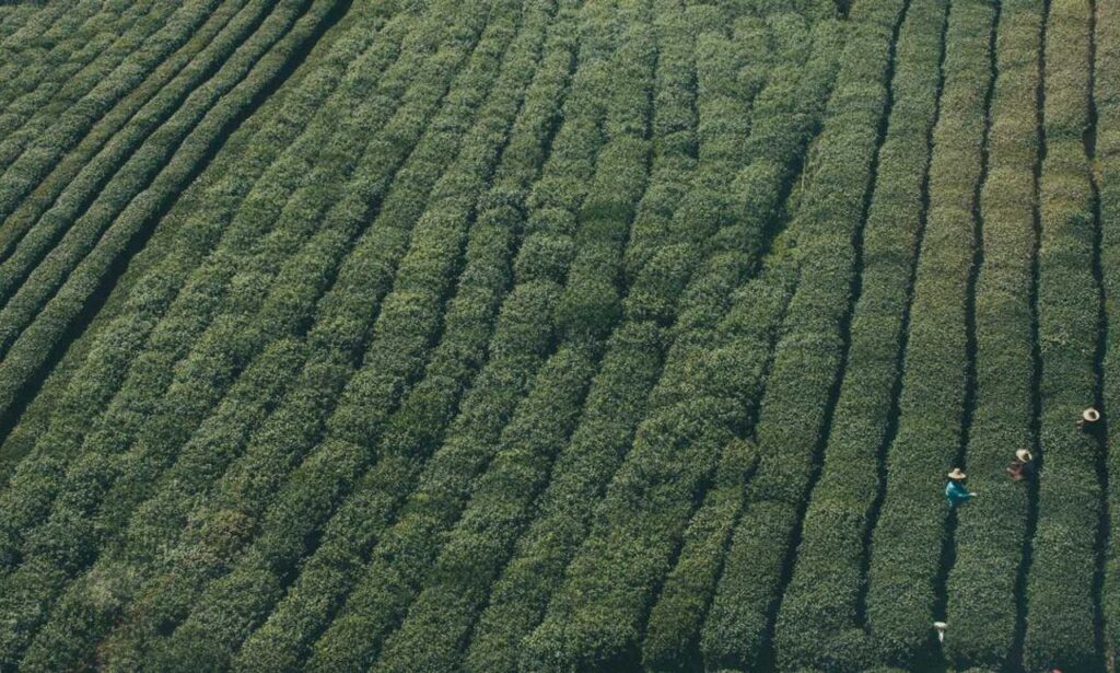 llblogfood fast recipes by lovelolablog