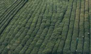 llblogfood fast recipes by lovelolablog