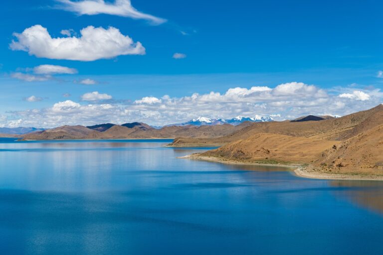 llblogfood light recipes from lovelolablog