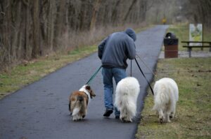 pet gps trackers