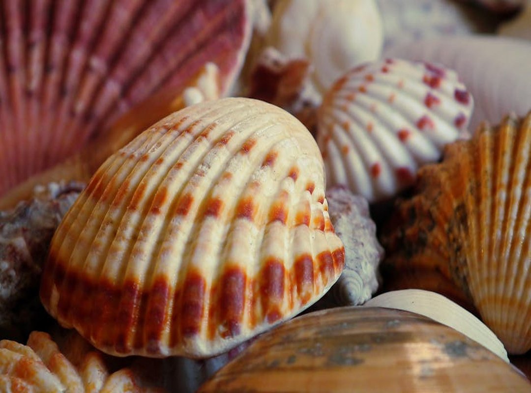 Traditional Recipes Tbfoodtravel