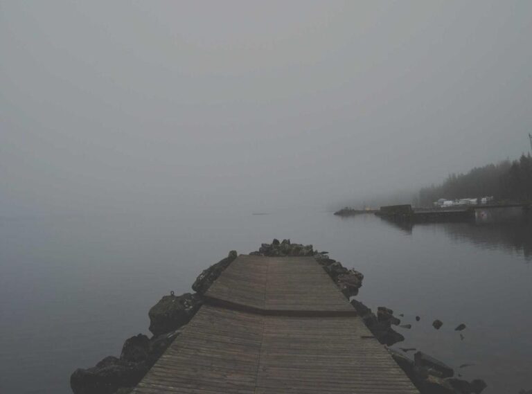 bilastina farmoz 20mg