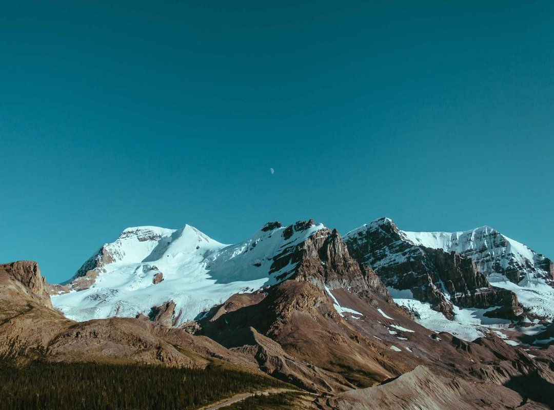 Who Should Use distintas.nwt (And Why)