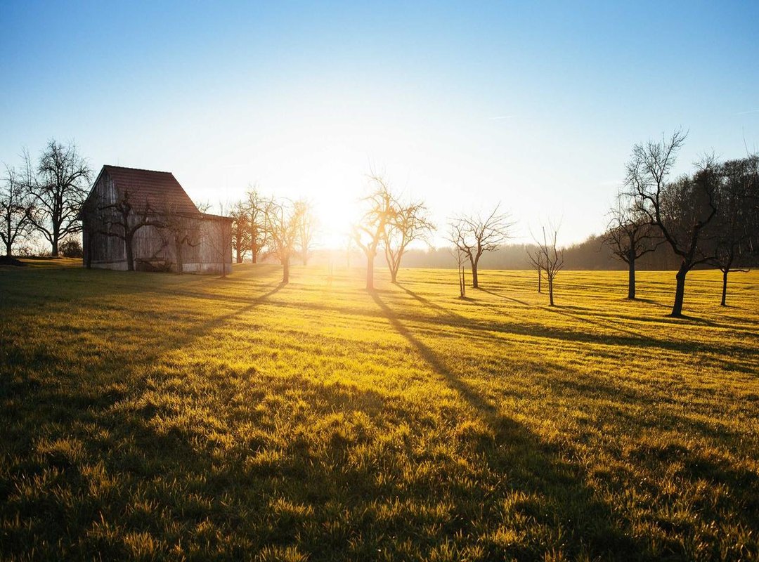 Important Considerations: Is Using the Site a Good Idea?