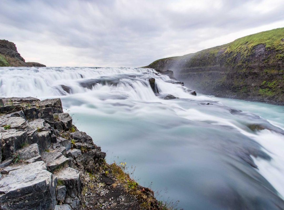 How to Find What You're Looking For: Navigating the Forum