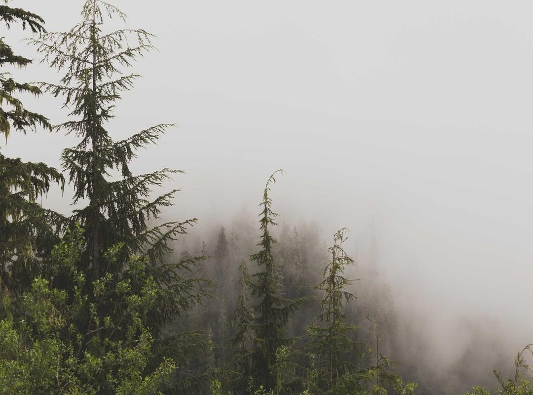 Words from the Deep: Analyzing Wilkes' Most Powerful Quotes