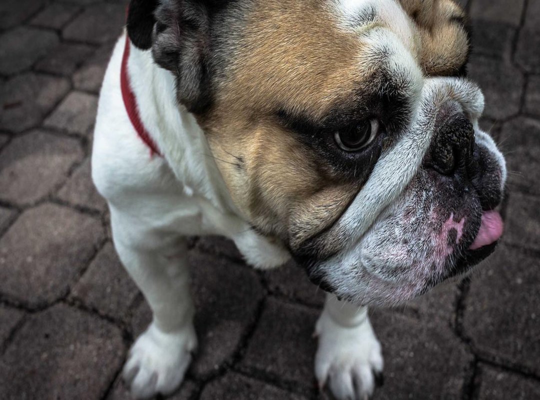 Recent History: 2020-Present