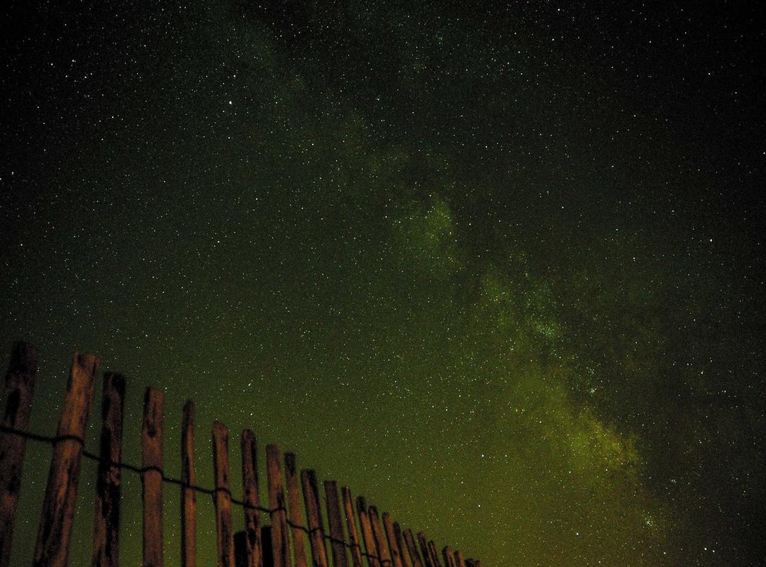 What's Inside: Top Brands and In-Store Services