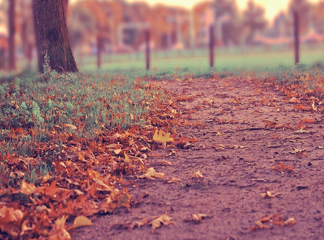 Perfect Placement: Where to Put Your Small Tattoo