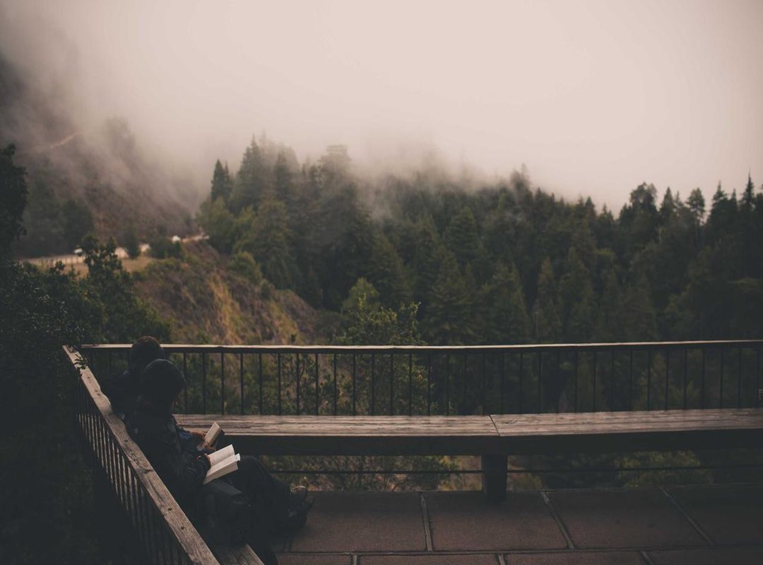 The Underdog Appeal: Why We Root for the Asura