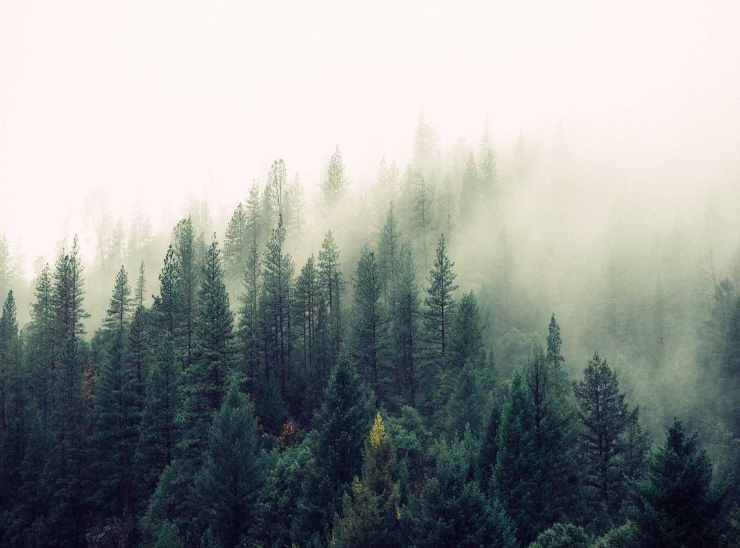 Frequently Asked Questions (FAQs)