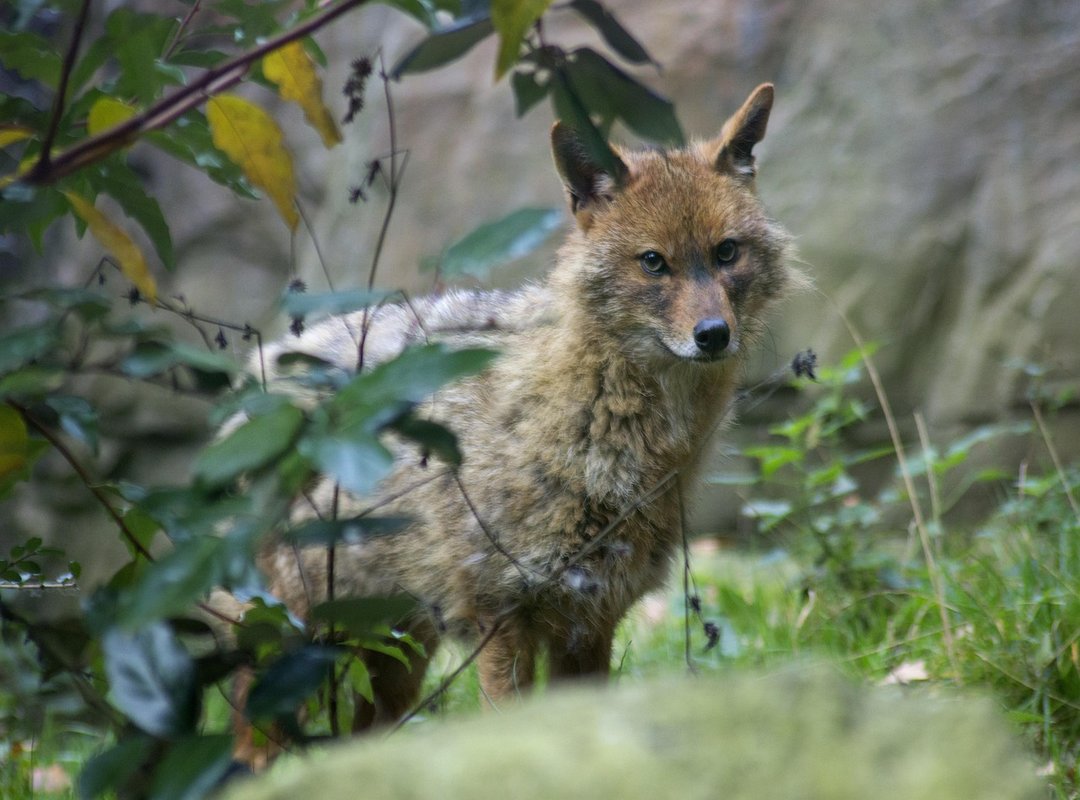 3 Reliable Alternatives to Use While You Wait